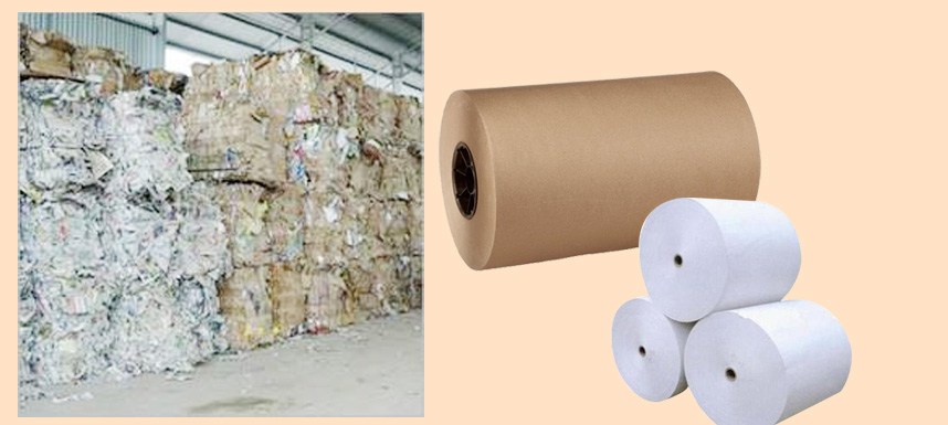 Waste Paper & Finished Paper